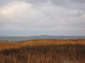 Februar2010 483